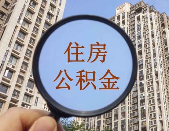 韩城退休后查不到公积金明细了吗（退休后公积金查询不到原因）